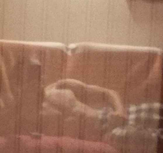 Profil de Mylhan, 37 ans, Annonce gay à Visé (Liège)